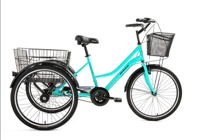 Bisan - 24 Jant - Porter - V-Fren - 17" (43 cm) - Siyah-Turkuaz