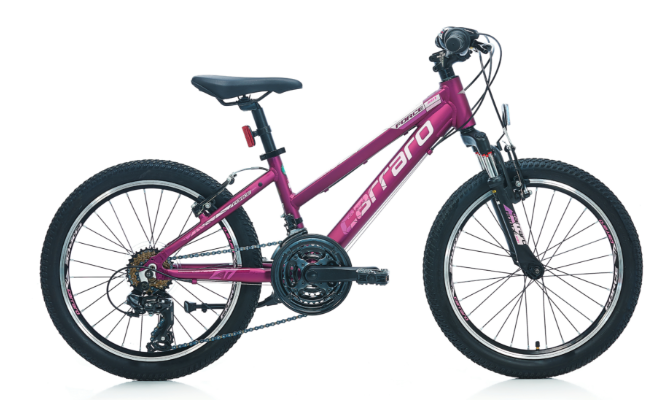 Carraro - 20 Jant - Force 201 - V-Fren - 10''(25cm) - Mat Mürdüm-Pembe